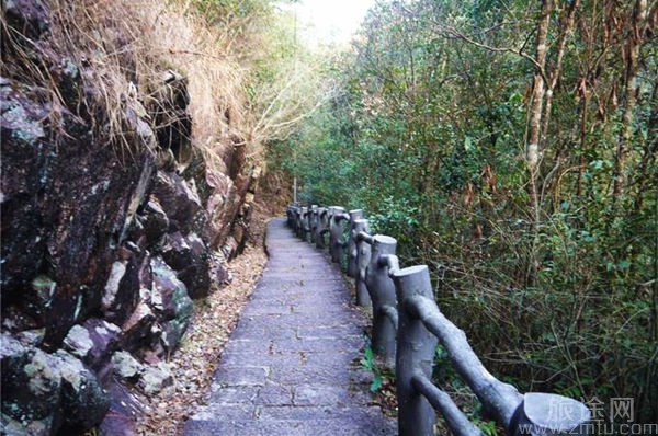 乌岩岭国家级自然保护区
