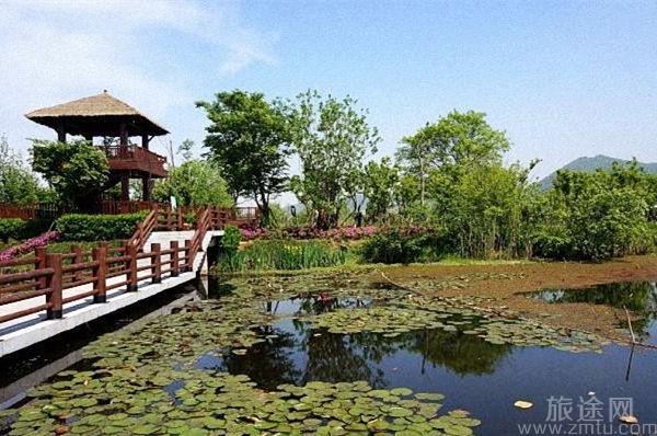 长兴太湖图影生态湿地文化园