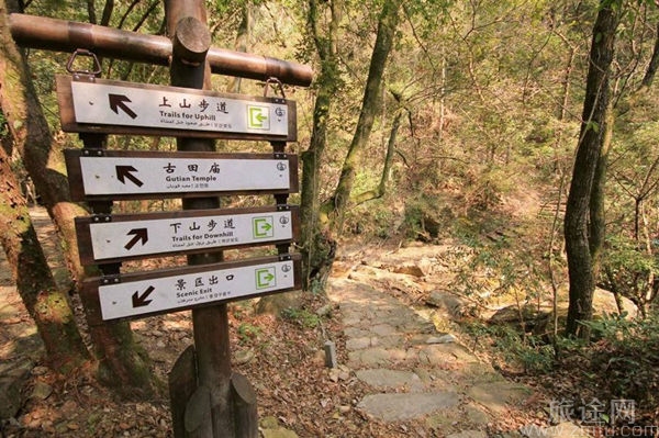 古田山国家级自然保护区