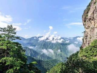 凤阳山自然保护区