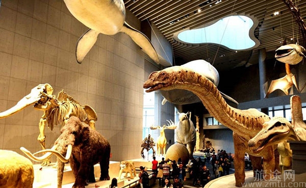 上海自然博物馆（上海科技馆分馆）