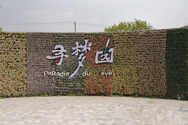 上海薰衣草乐园