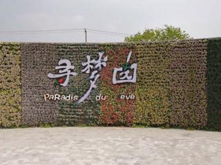 上海薰衣草乐园