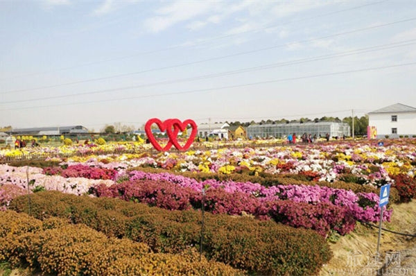 南京湖熟现代农业示范区