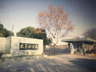 南京太子山公园