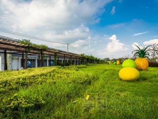 江宁台湾创意农业旅游区