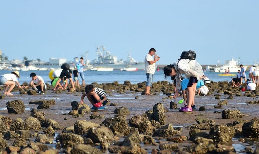 青岛适合赶海的地方 青岛赶海抓螃蟹去哪里比较好